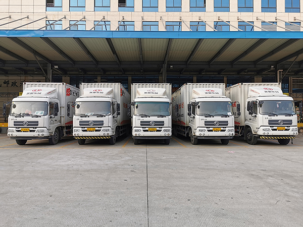 車(chē)輛展示 (15)